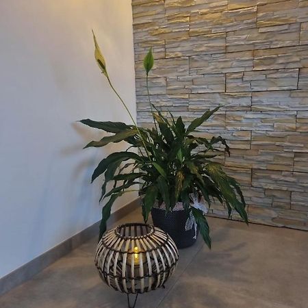 Wellness Ferienhaus Mechernich Dış mekan fotoğraf